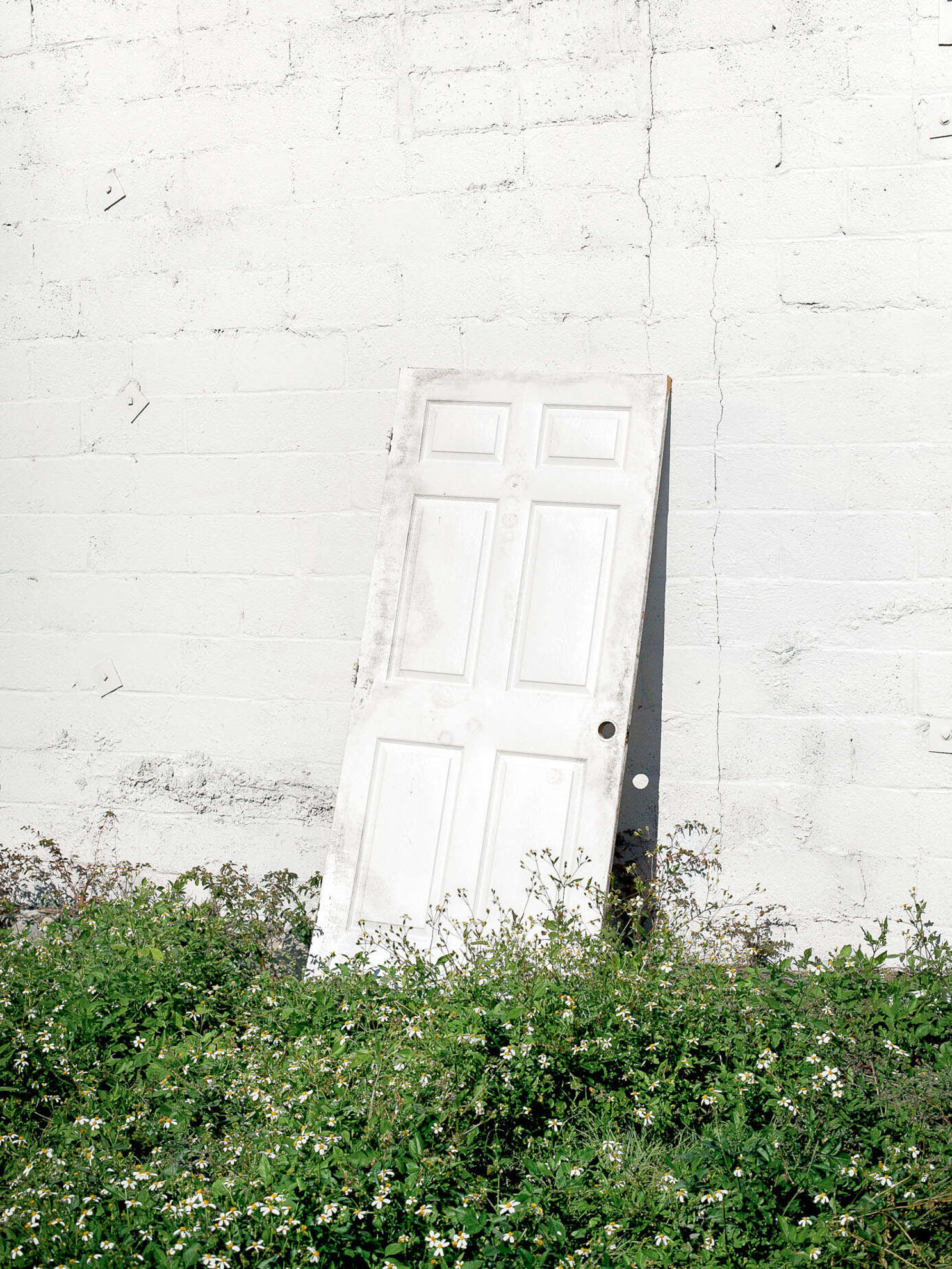 The Art of Seeing — chapter image